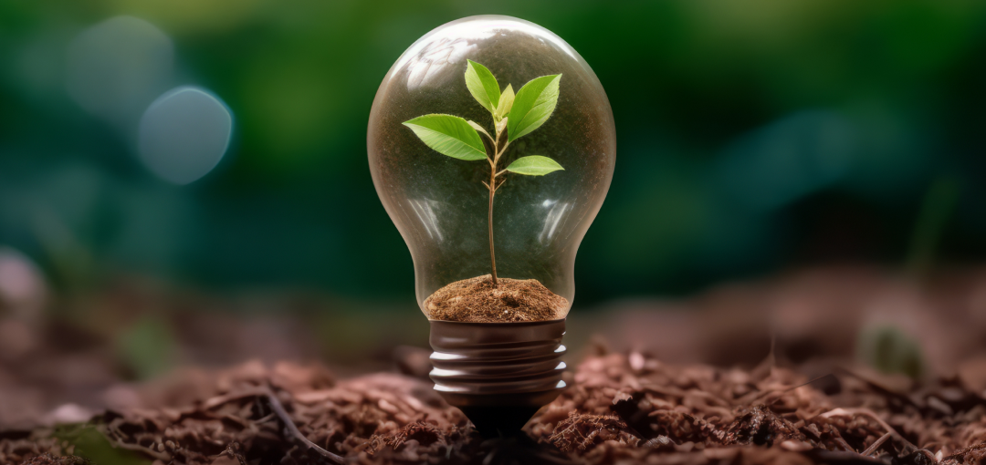 Sustainability CO2 compensation